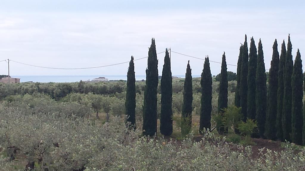 Agrisicilia ξενώνας Marinella di Selinunte Εξωτερικό φωτογραφία