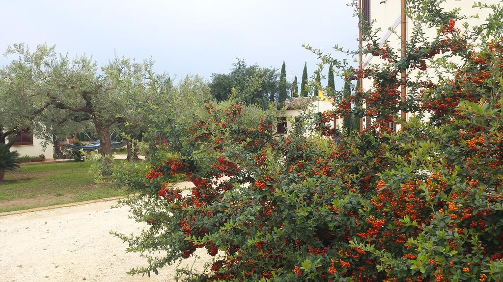 Agrisicilia ξενώνας Marinella di Selinunte Εξωτερικό φωτογραφία