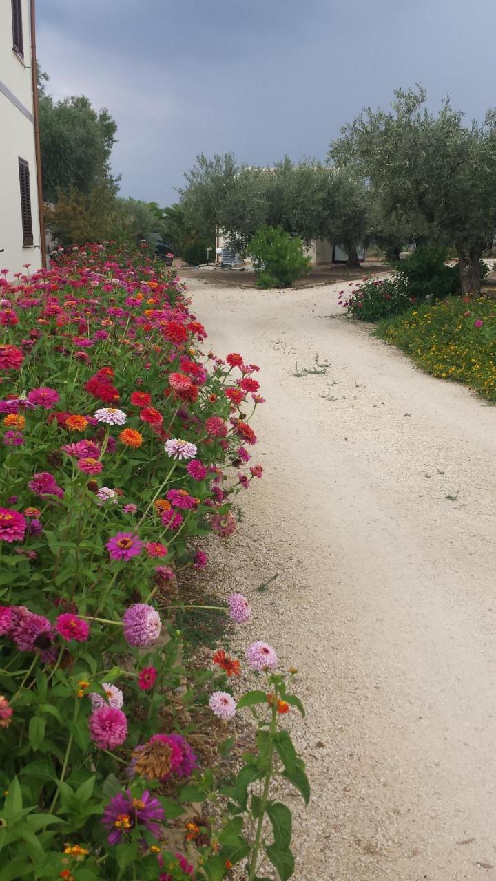 Agrisicilia ξενώνας Marinella di Selinunte Εξωτερικό φωτογραφία
